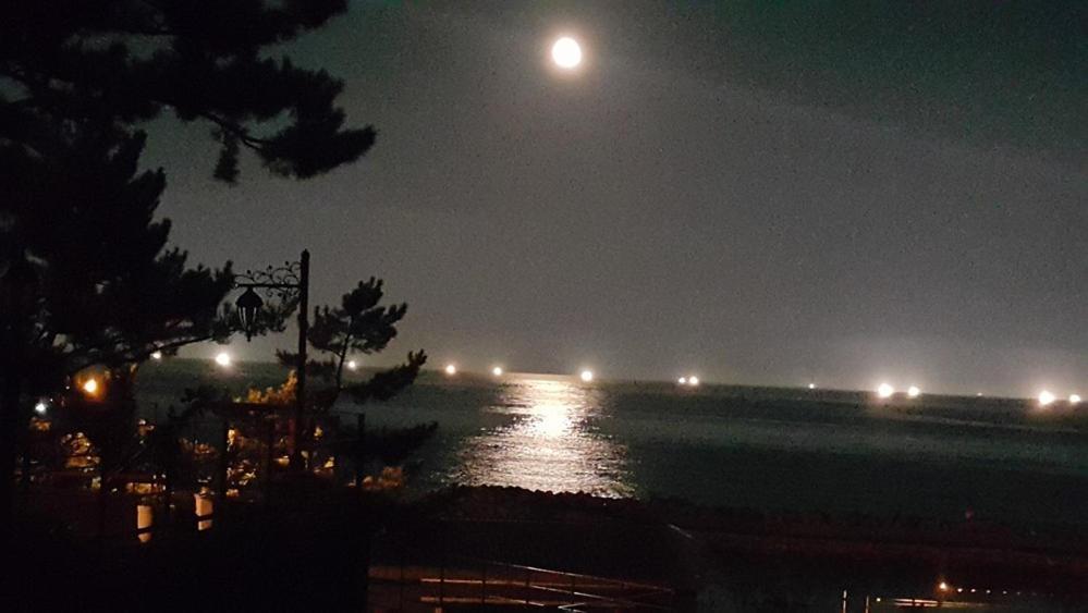 Pohang Ssideurim Pensyeon Экстерьер фото